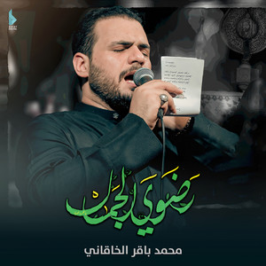 محمد باقر الخاقاني - رضوي الجمال