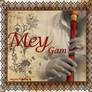 Akşam Olur Karanlığa Dalarsın