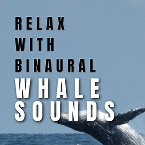 Relax with Binaural Whale Sounds album
