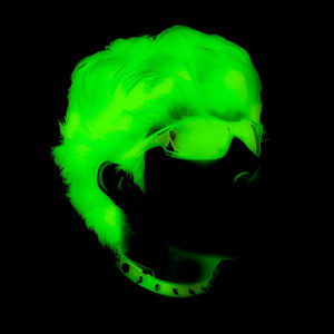 DESTROYER by Acid Stereo