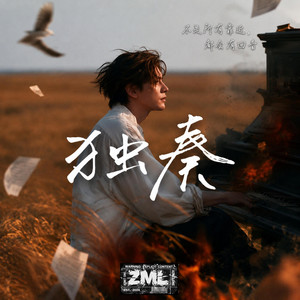 獨奏 by ZML