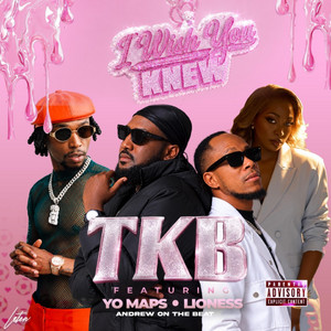 I Wish You Knew by Tkb namibia, Yo maps, Lioness