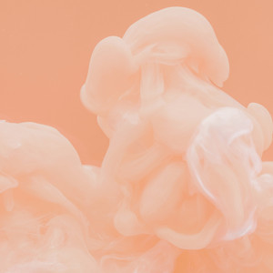 Delicate Against Coral by Lowfy Lowky