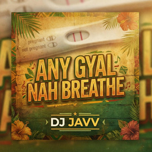 DJ JAVV - ANY GAL NAH BREED