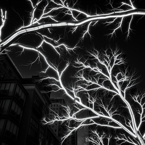 Midnight Drive by Branton Irons