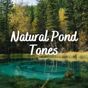 Natural Pond Tones album