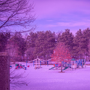 Open Space by trees
