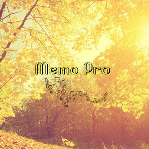 Insensitive by Memo Pro