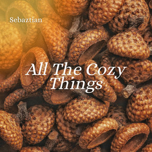 All the Cozy Things - Radio Edit by Sebaztian