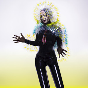 Vulnicura - Album by Björk | Spotify