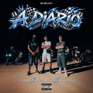 A DIARIO by SARMI, REBOLLO, LOUIS VI, Shelby