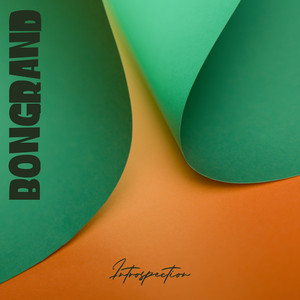 Introspection by Bongrand
