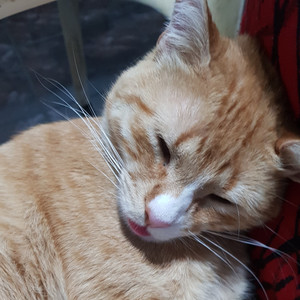 Dィko - I don't feel