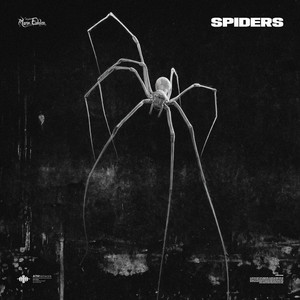 Spiders by Marie Eidolon