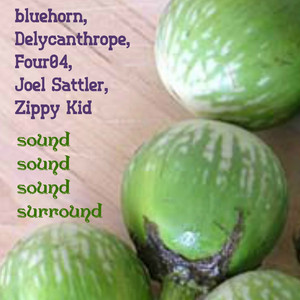 Sound Sound Sound Surround (with Joel Sattler, Delycanthrope, Four04 & bluehorn)