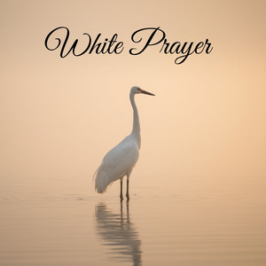 White Prayer by NoxHaven