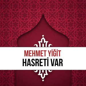 Mehmet Yiğit - Yolcusuyuz Bu Dünyanın