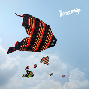 Homecoming by Nosara, ANJG