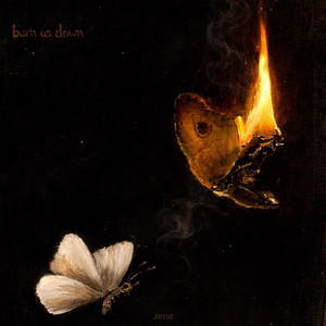 Burn Us Down by ARYSE