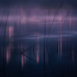 Havn by Blank Atlas