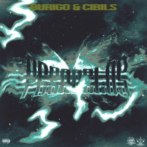 Bouncing With Tha Cops by Burigo & Cibils, Shellz
