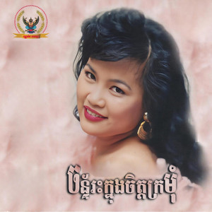 ចាក់ចូចបានបុណ្យ by សុង សេងហ៊ន