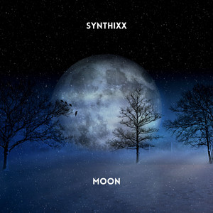 Moon - Radio Edit by Synthixx