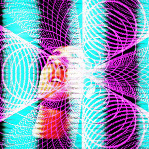 Echo Down by Sunspire