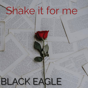 Shake It for Me by BLACK EAGLE