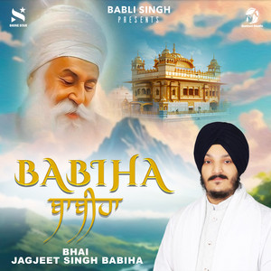Vadde Vadde Jo Deese Log by Bhai Jagjeet Singh Babiha