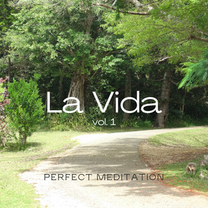 2022 La Vida Vol. 1 album