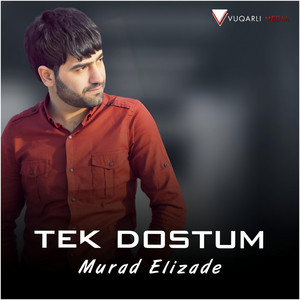 Murad Elizade - Tek Dostum