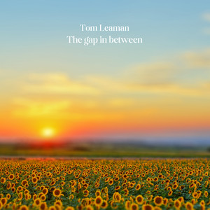The gap in between by Tom Leaman