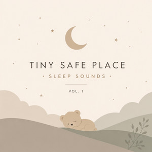 Gentle Shushing Sounds for Babies by Tiny Safe Place