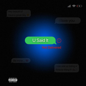 U Said It by Shaina Rae