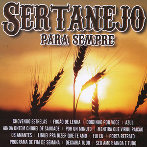 Cowboys do Sertão
