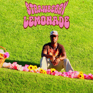 STRAWBERRY LEMONADE by King Kold