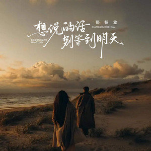 郑畅业 - 想说的话别等到明天