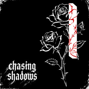 Chasing Shadows by Life's Metaphor