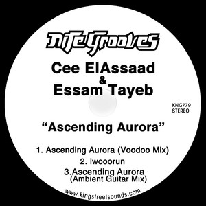 Essam Tayeb cover