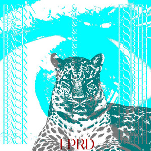 BACK&FORTH by LPRD