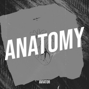 Anatomy