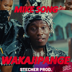 Wakajipange (Stecher Prod.)