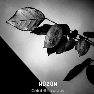 Cəlal Əhmədov - Hüzün
