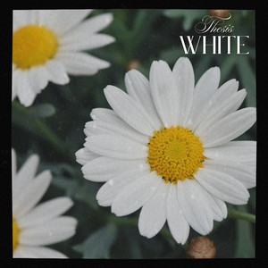White - Radio Edit by Thesis