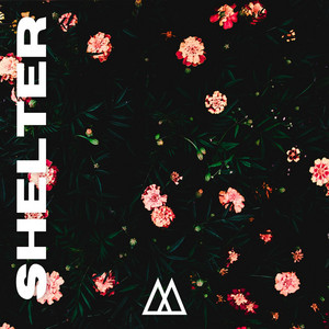 Shelter by Oliver Michael