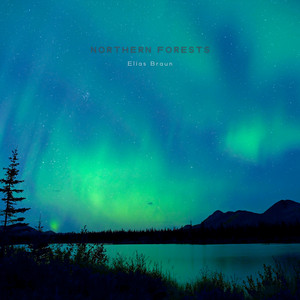 Northern Forests by Elias Braun