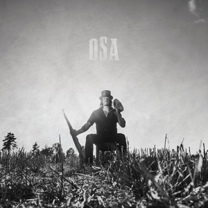 Stjerneskutt by osa