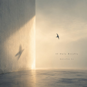 If Only Briefly by Aurelio Li