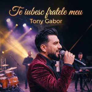 Te Iubesc Fratele Meu by Tony Gabor